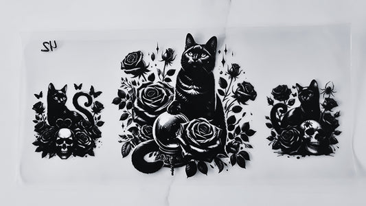 Black Cat