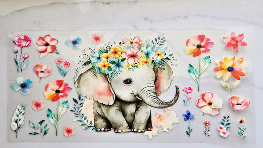 Baby Elephant