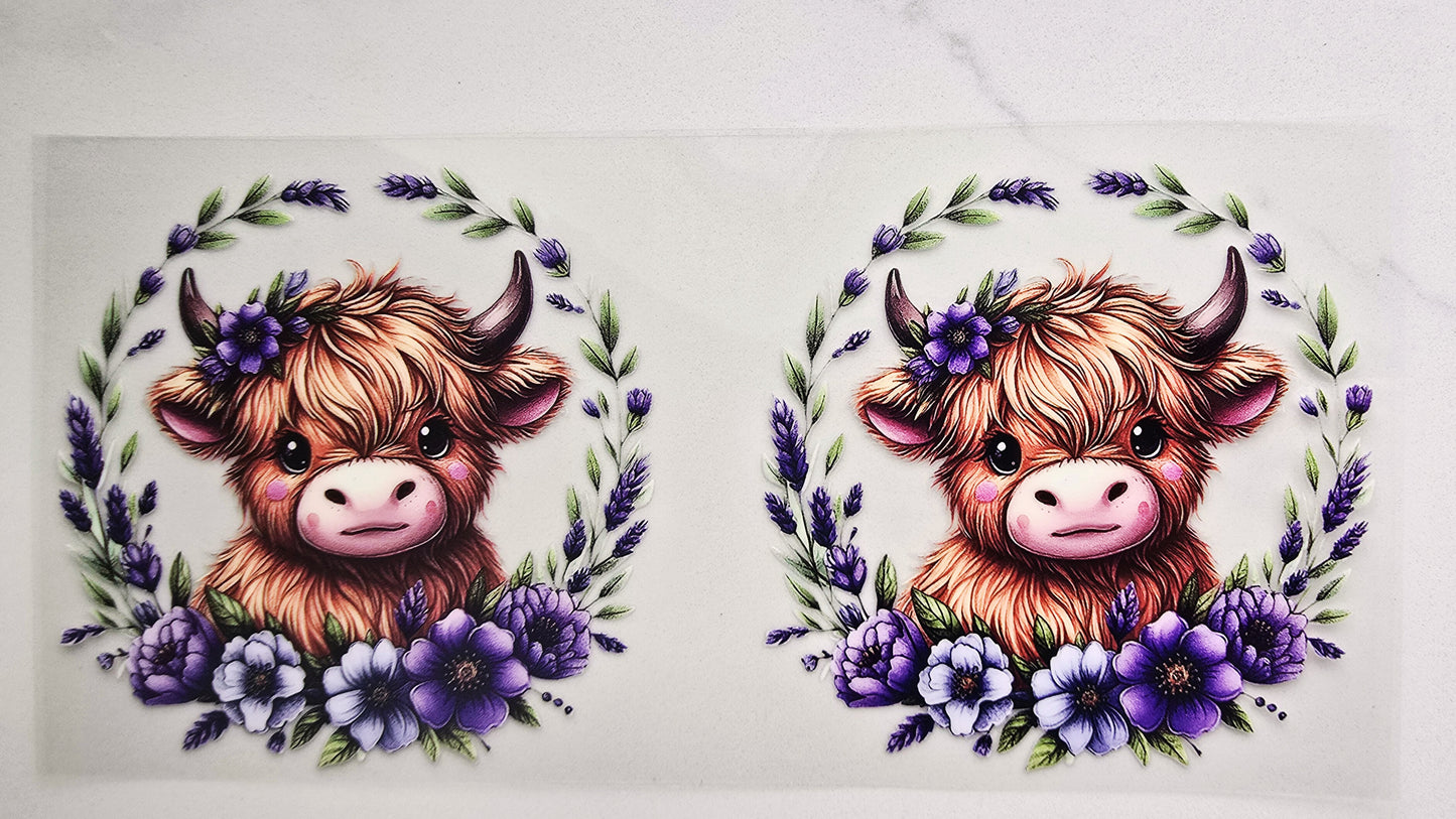 Highland Cow with Purple Flowers