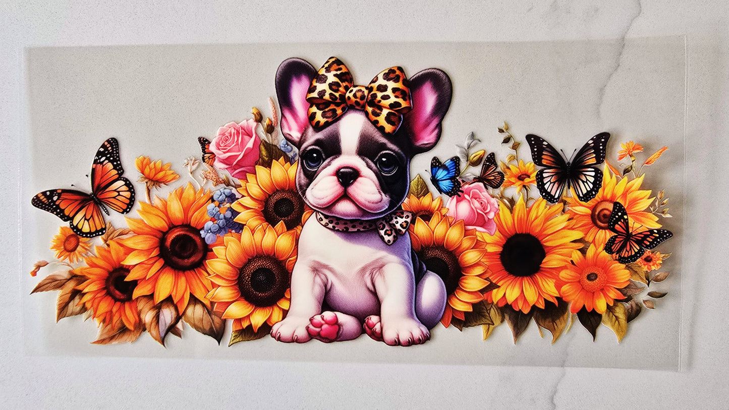 French Bulldog Puppy
