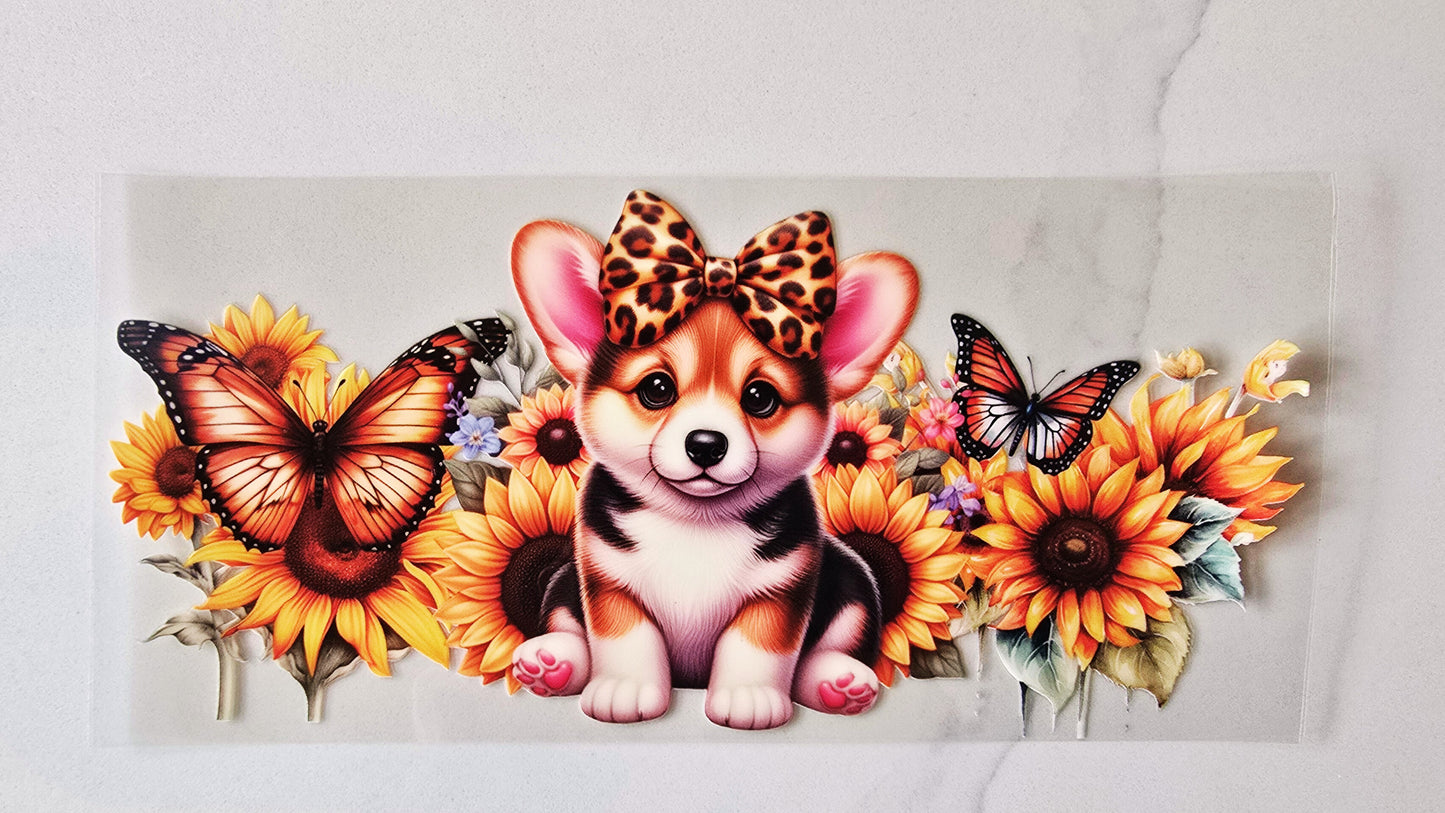 Corgi Puppy