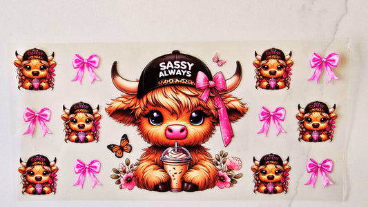 Sassy Always Highland Cow