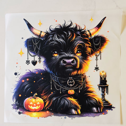 Black Halloween Highland Cow