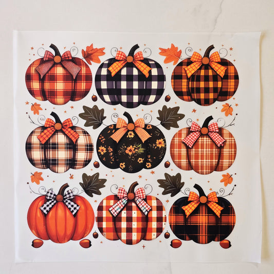 Fall Pumpkins