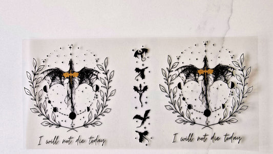 Fourth Wing Series