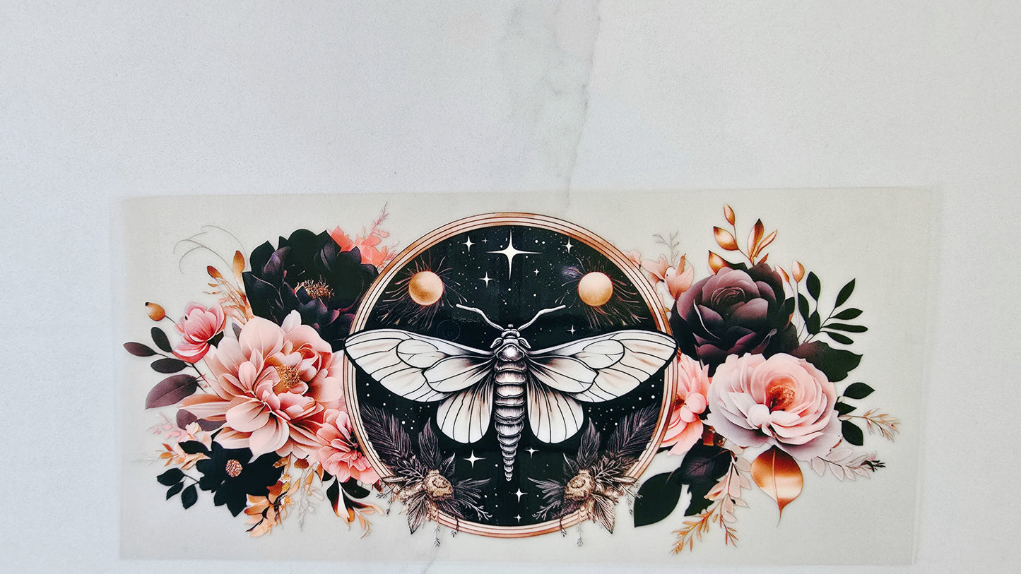 Black & Pink Dragonfly