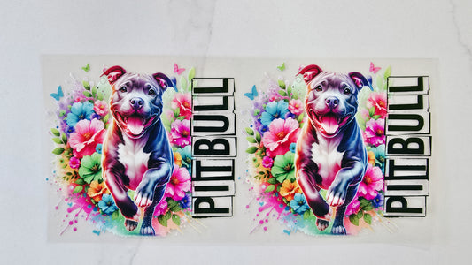 Pitbull