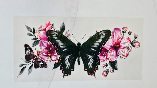 Black Butterfly