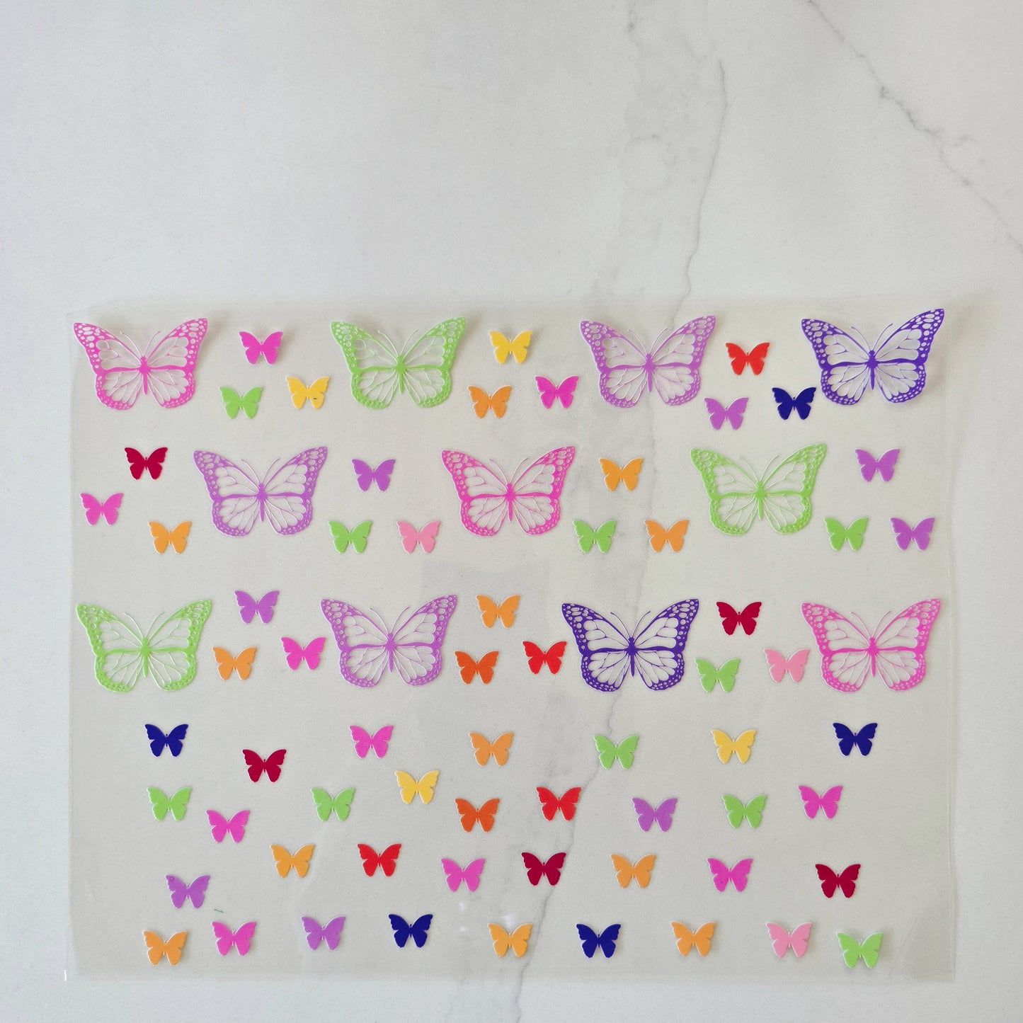 40oz Neon Colored Butterflies