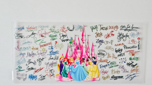 Disney Castle with Princesses