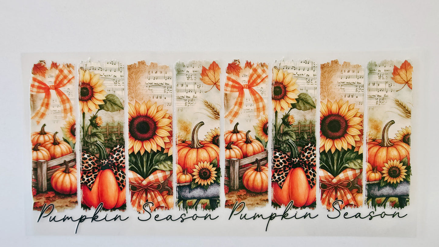 Pumpkin Season