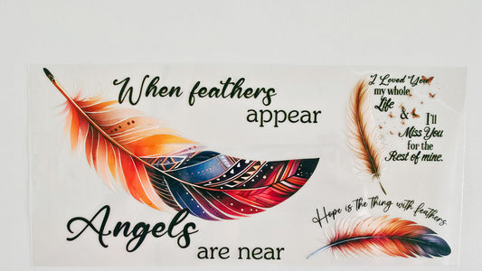 When Feathers Appear, Angels are Near