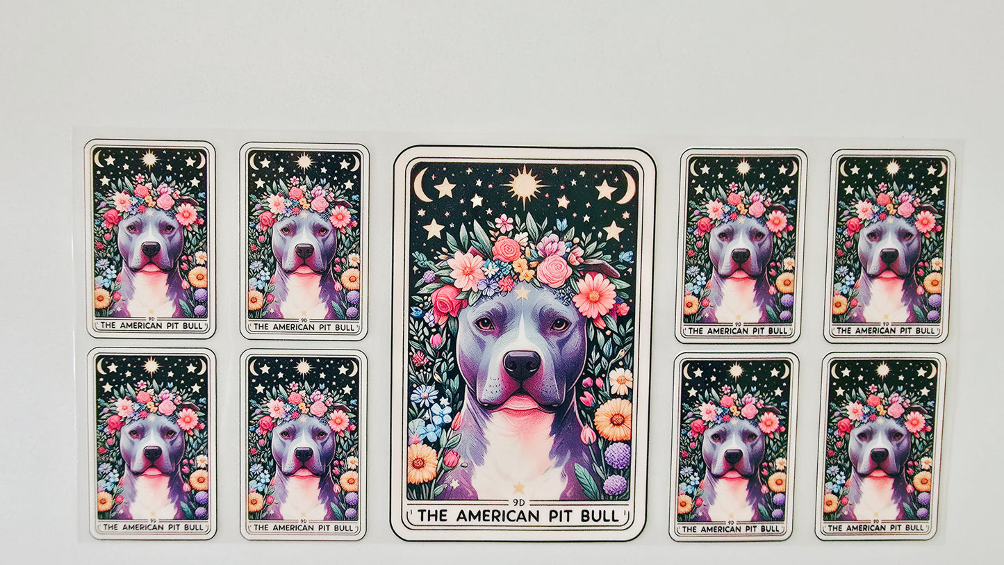 Pitbull Tarot Cards
