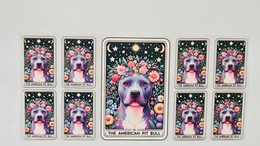 Pitbull Tarot Cards