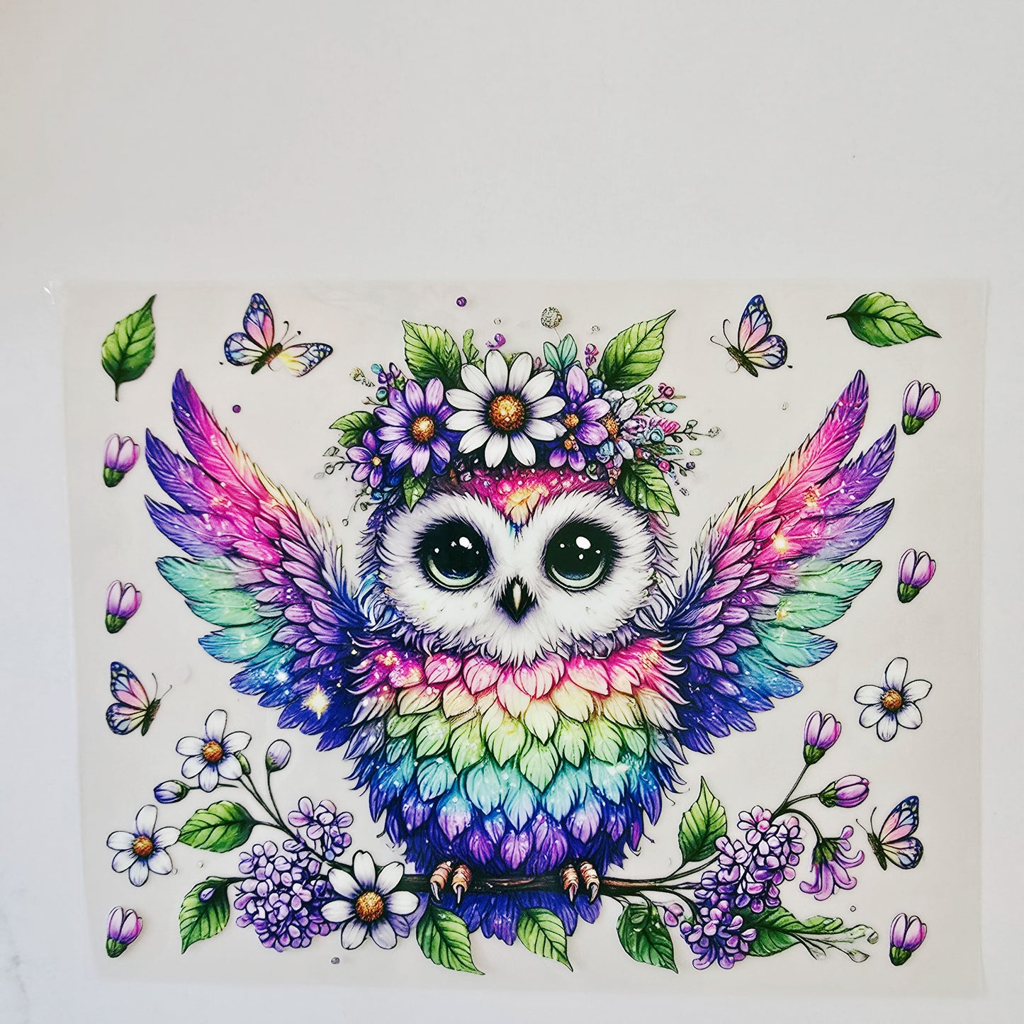 20oz Colorful Owl
