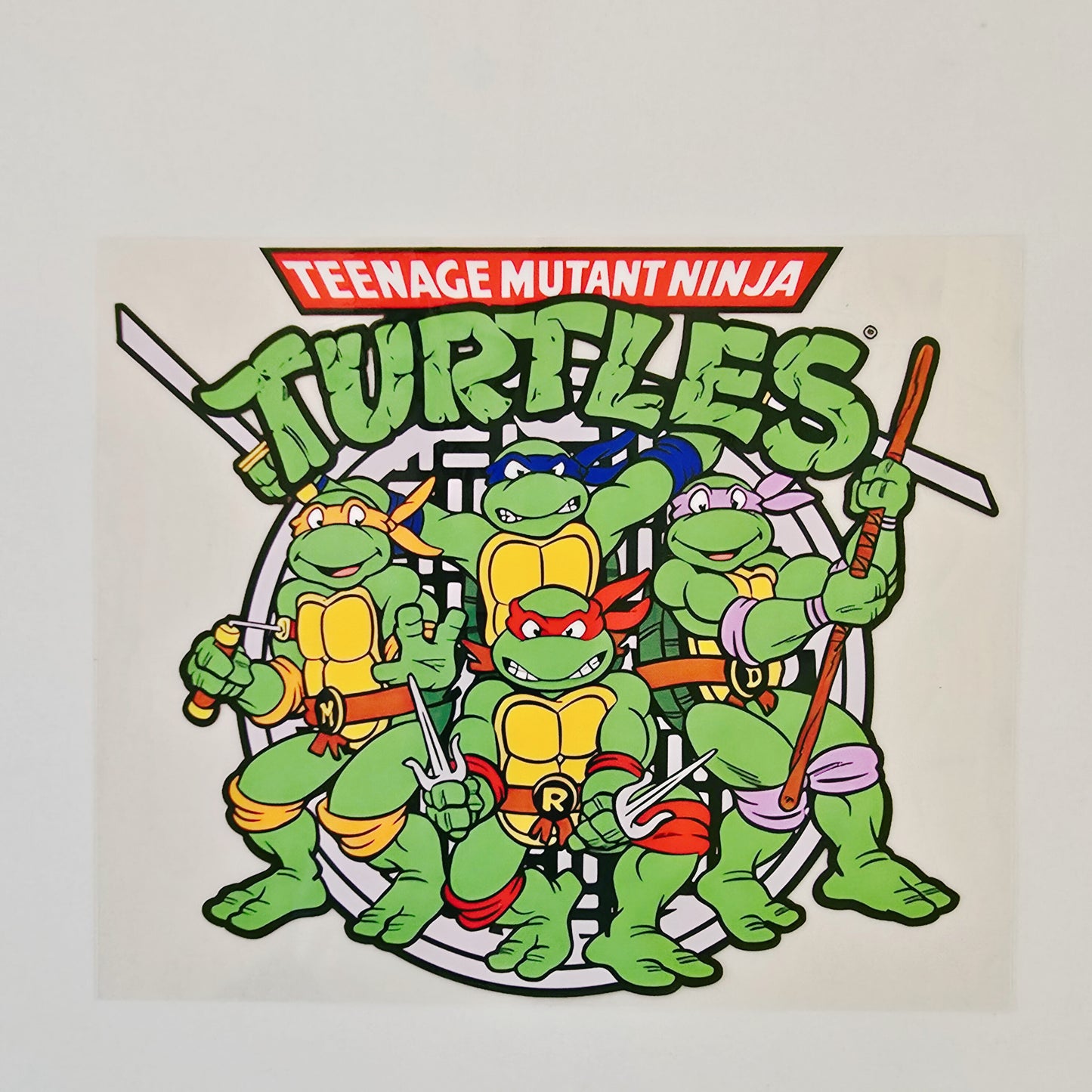 20oz Ninja Turtles