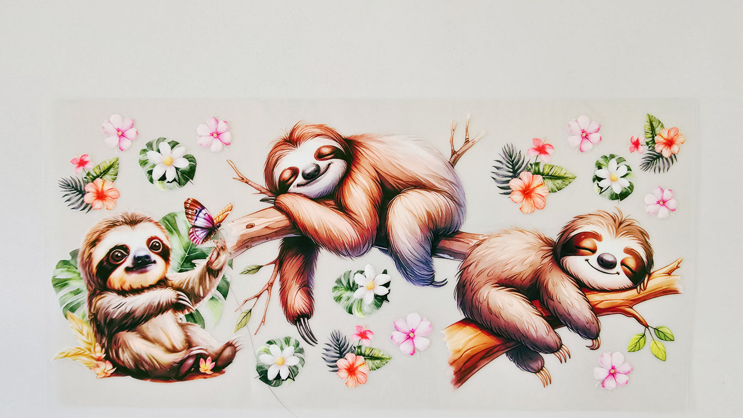 Sloths