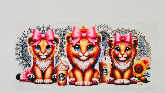 Little Lions & Starbucks