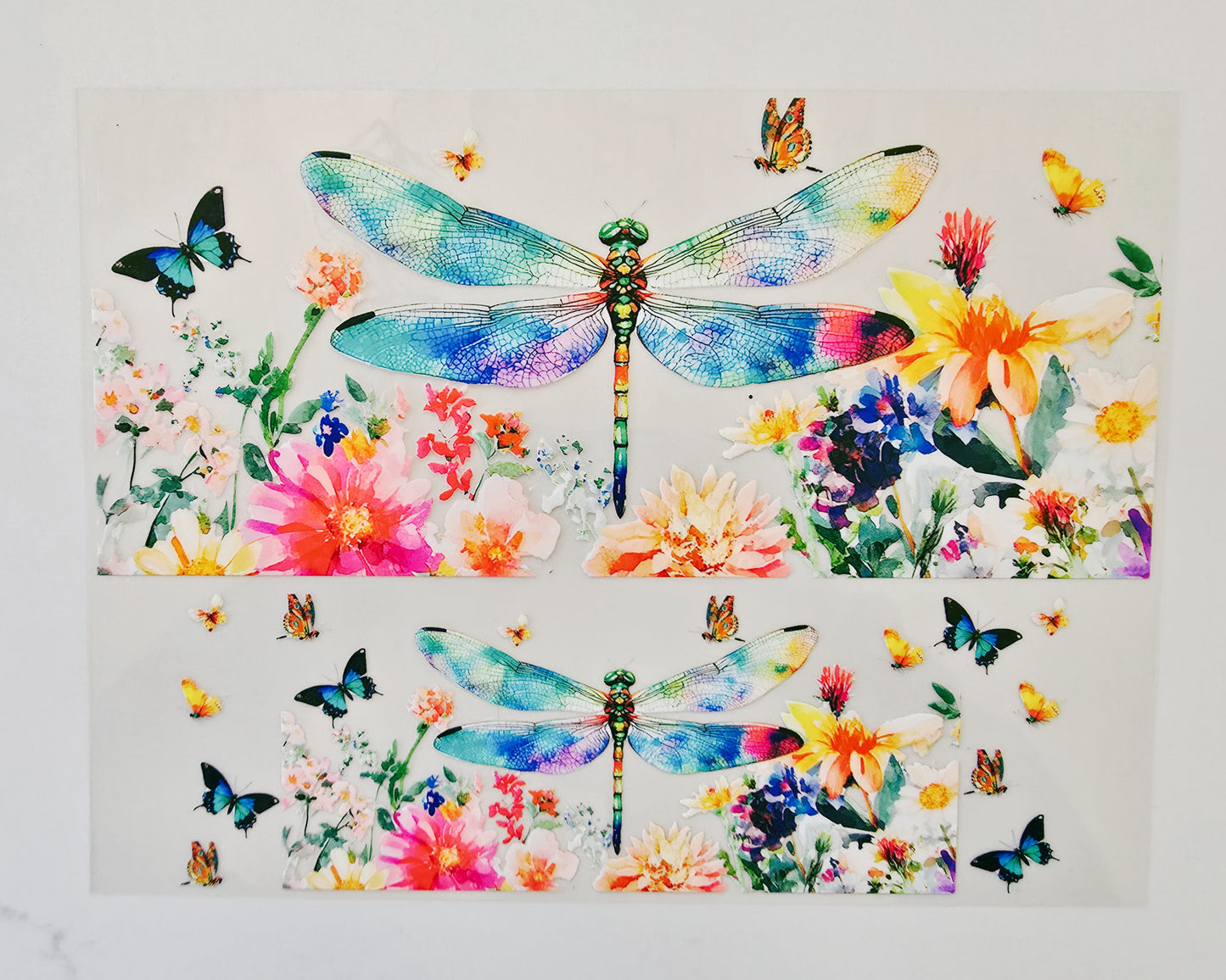 40oz Dragonflies & Butterflies