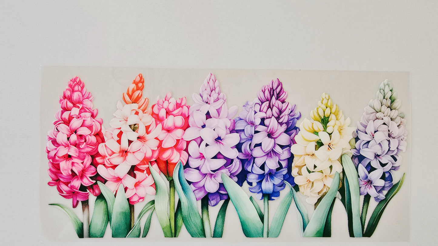 Hydranga Flowers