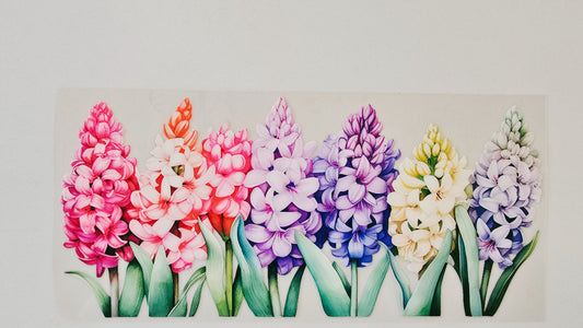 Hydranga Flowers