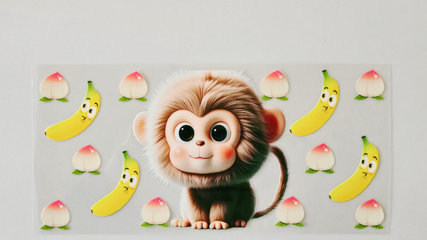 Baby Monkey