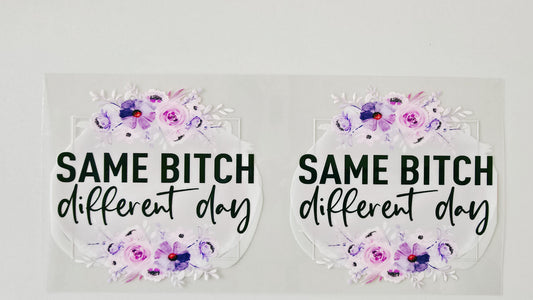 Same Bitch Different Day