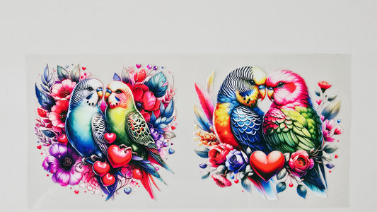 Parakeets