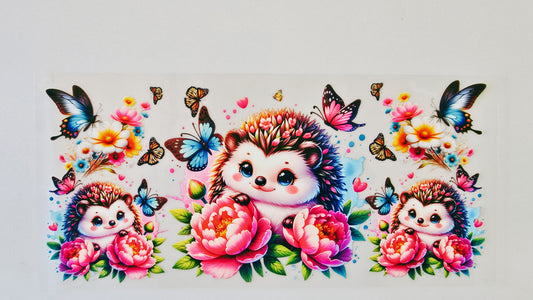 Baby Hedgehog