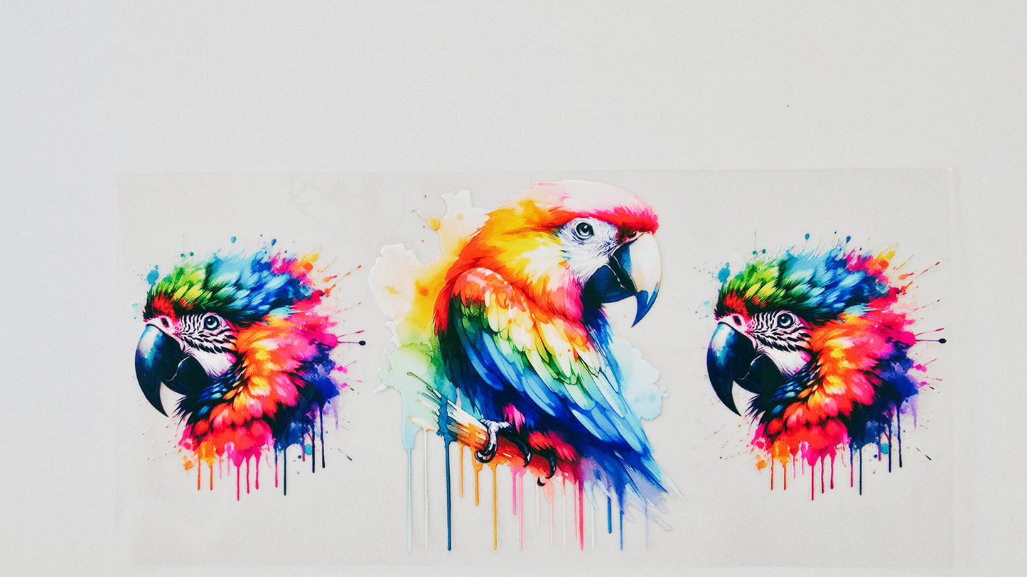Macaw Parrot