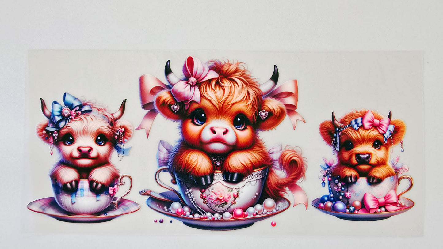 Teacup Highland Cows