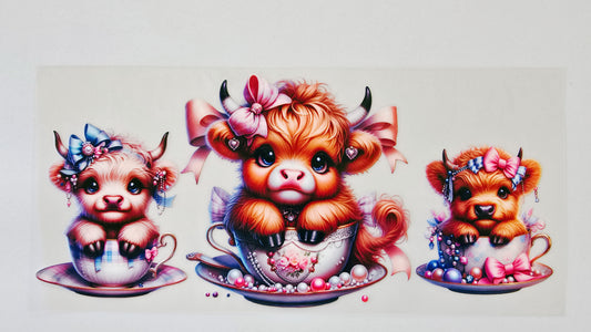 Teacup Highland Cows
