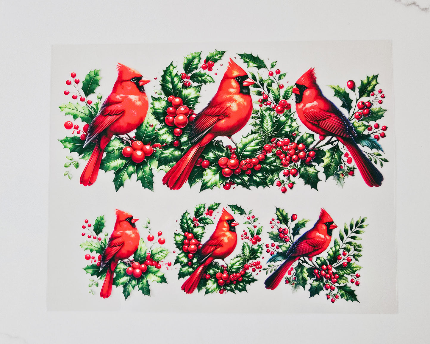 40oz Red Cardinal