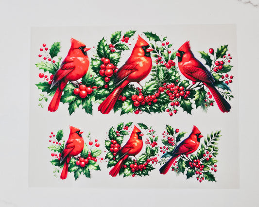 40oz Red Cardinal