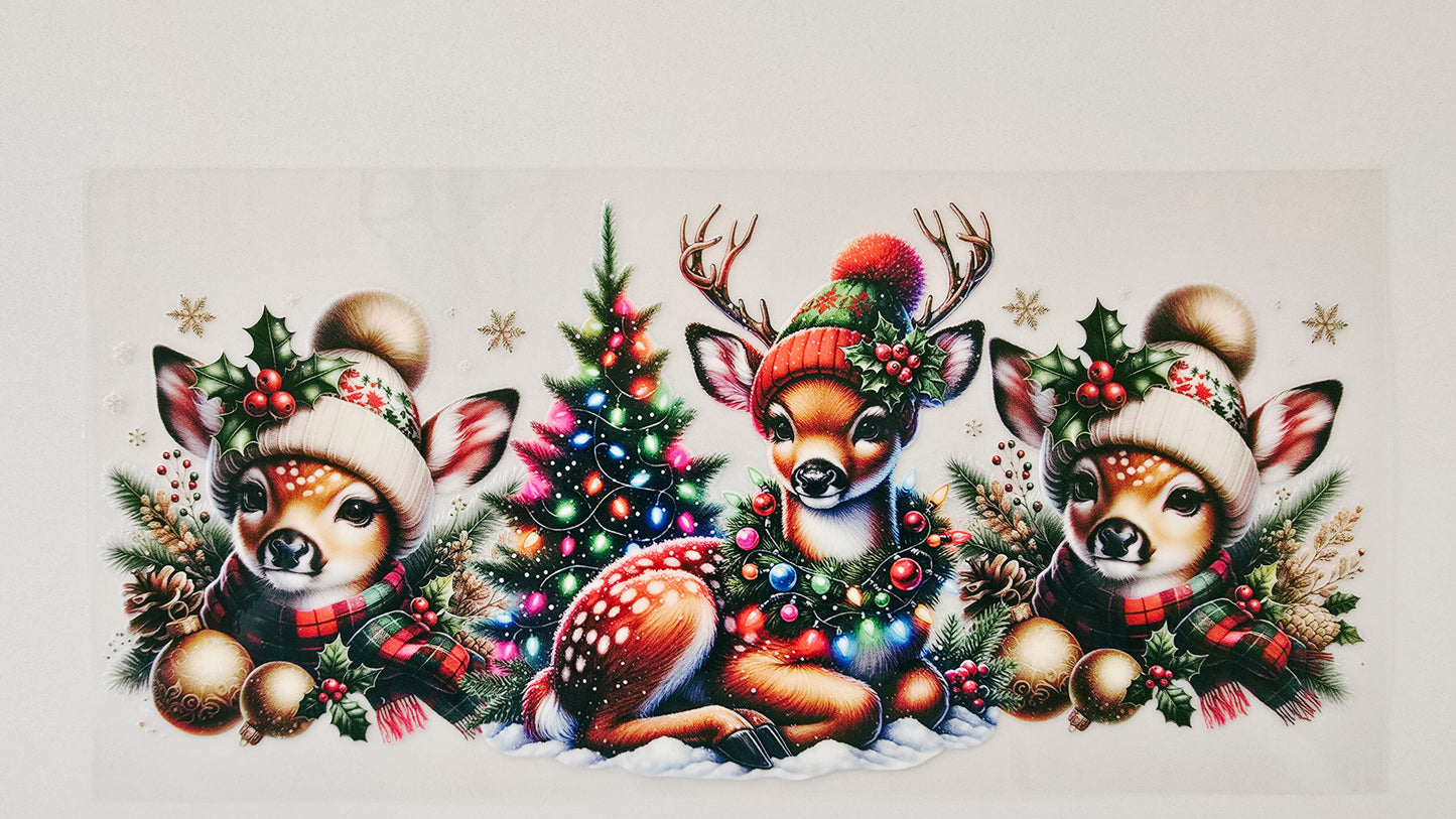 Reindeer