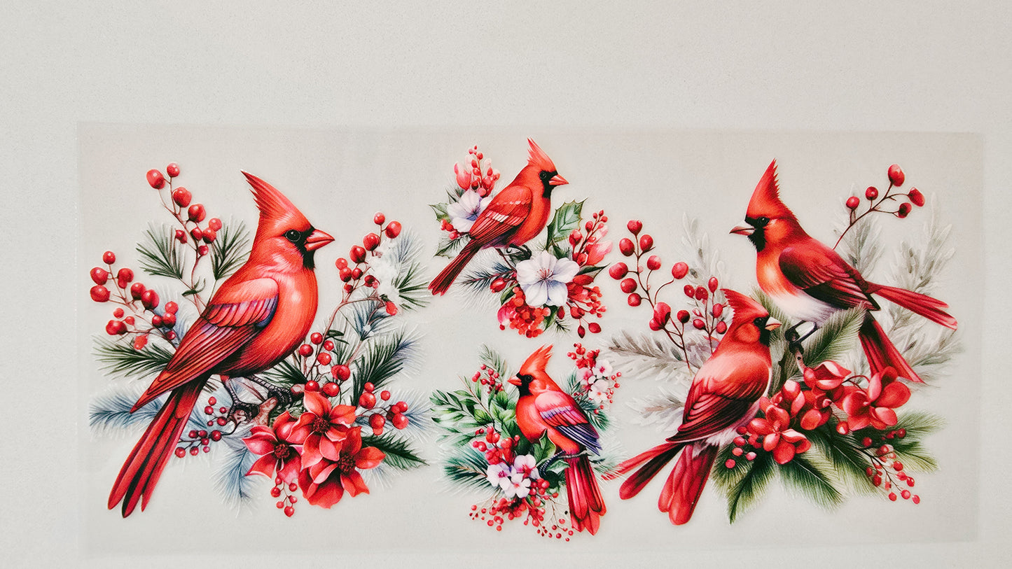 Red Cardinals