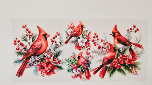 Red Cardinals