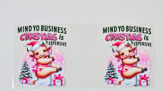 Christmas is Expensive