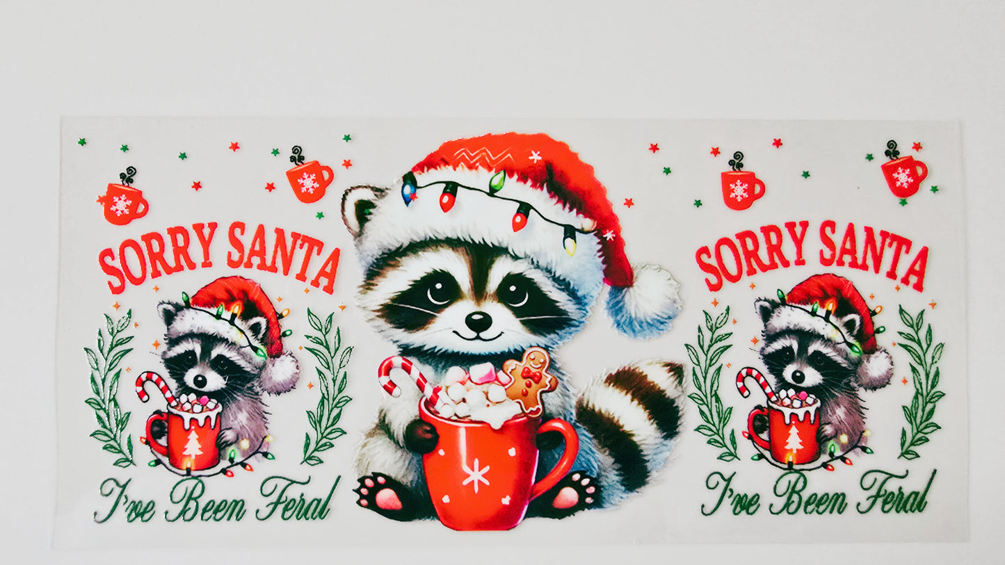 Sorry Santa Raccoon