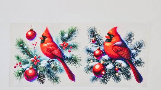Cardinals