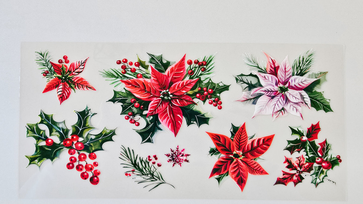 Poinsettia Flowers