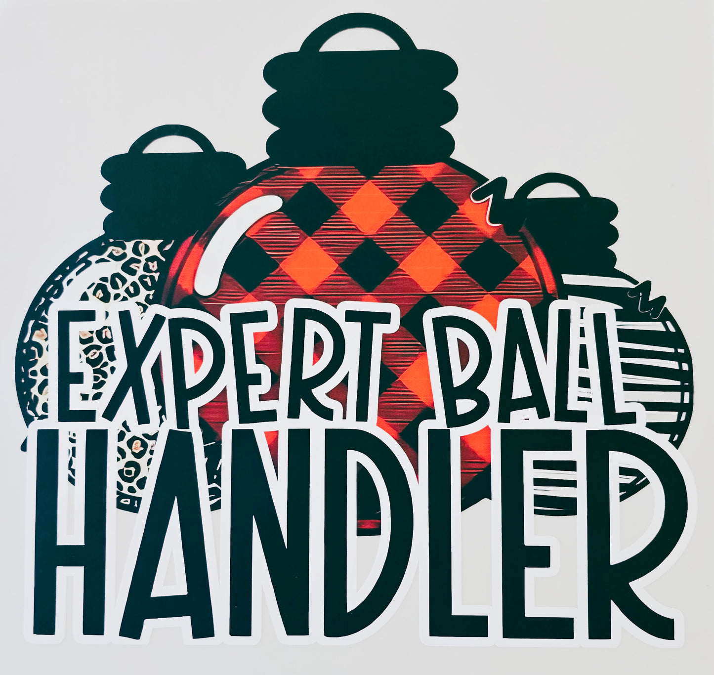 Expert Ball Handler