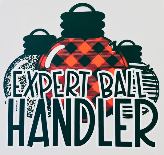 Expert Ball Handler
