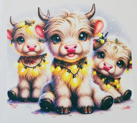 Baby Cows with Lights