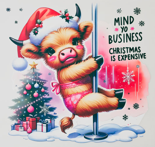 Mind Yo Business Christmas is Expensive