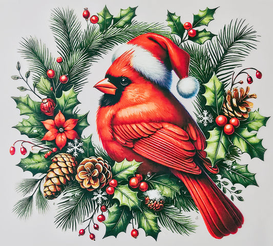 Red Christmas Cardinal