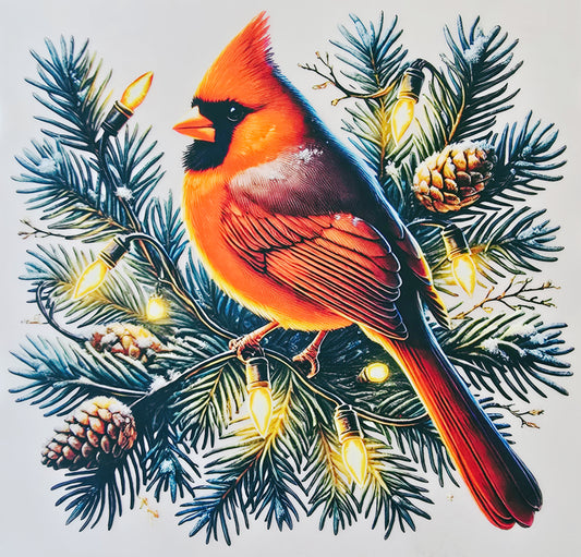 Red Cardinal
