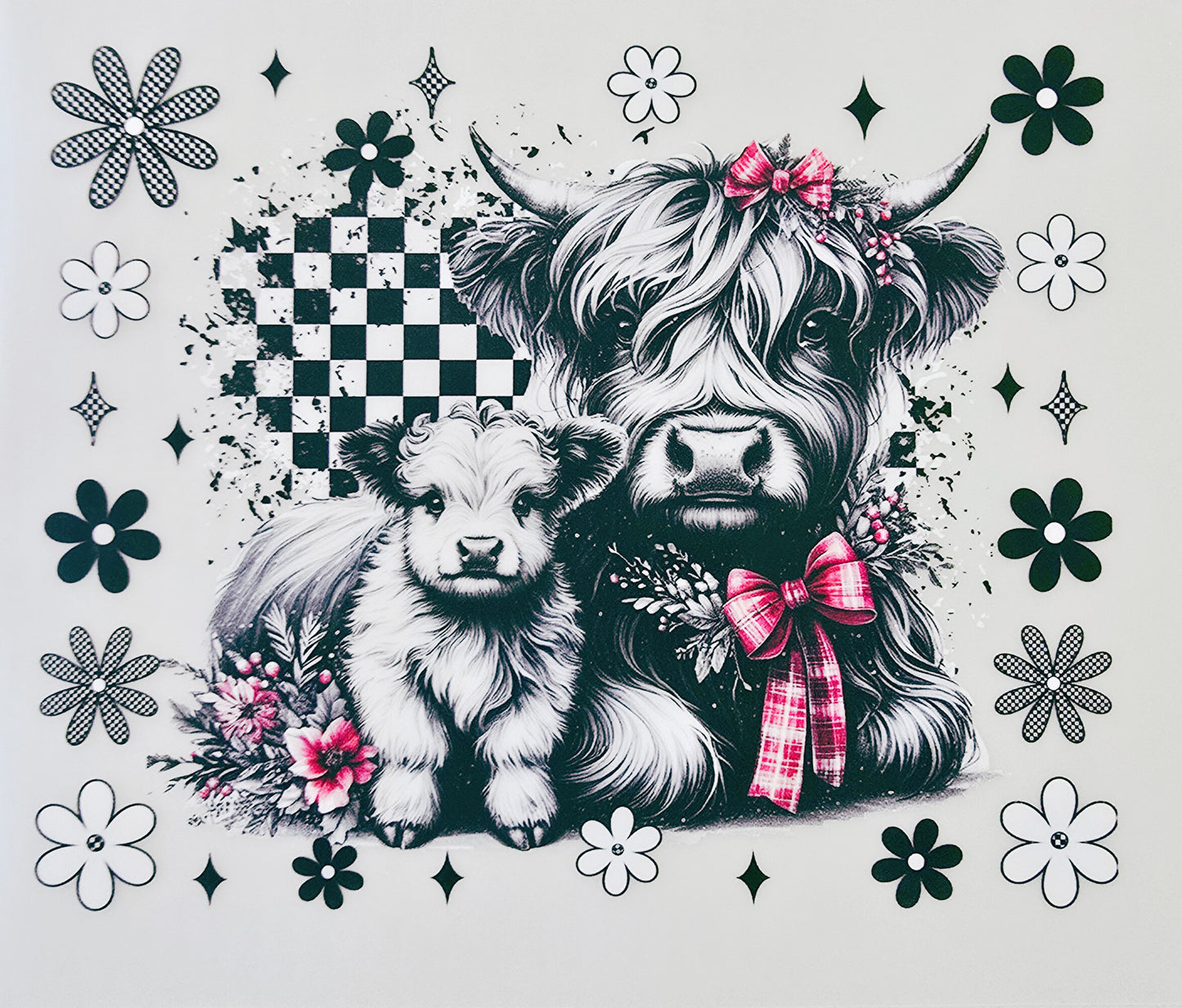 Checkered Highland Cows