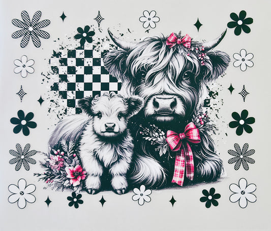 Checkered Highland Cows
