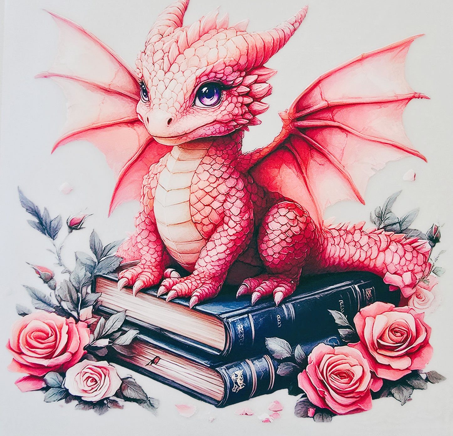 Pink Book Dragon